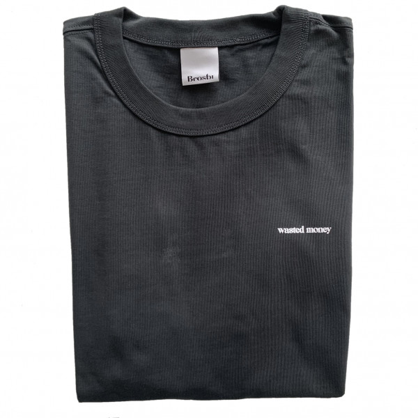 Loose Fit Tee - Wasted Money - cement grey